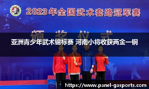 亚洲青少年武术锦标赛 河南小将收获两金一铜